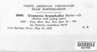Uromyces psoraleae image